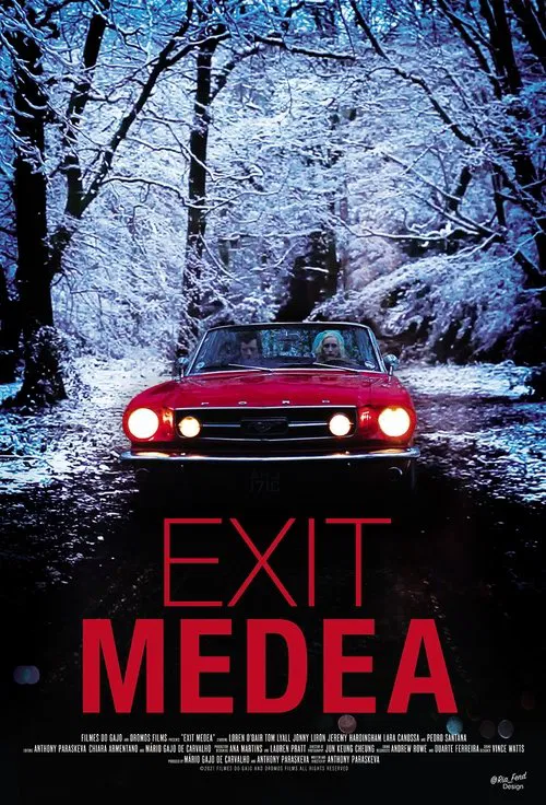 EXIT MEDEA movie poster