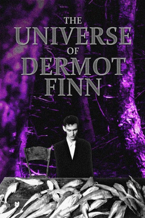 Poster do filme The Universe of Dermot Finn