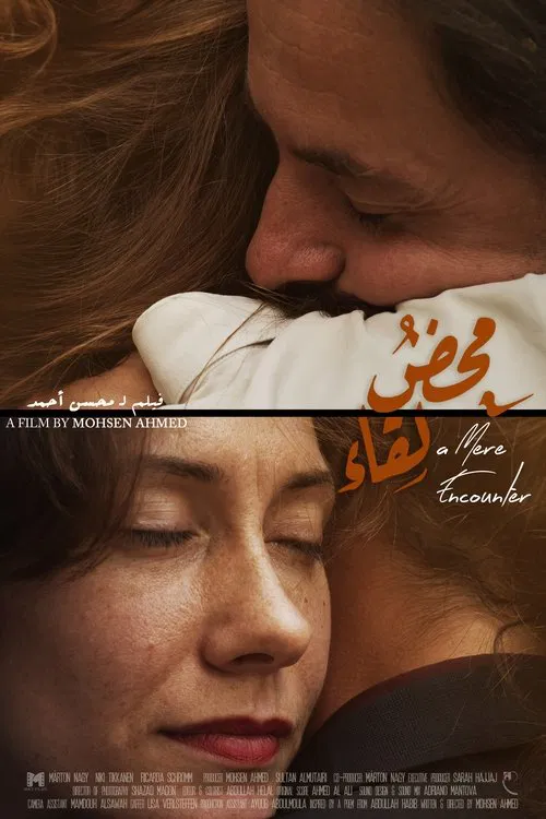 A Mere Encounter movie poster