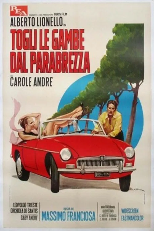 Poster do filme Togli le gambe dal parabrezza