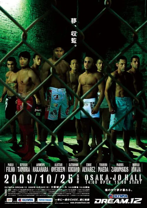 DREAM 12 movie poster