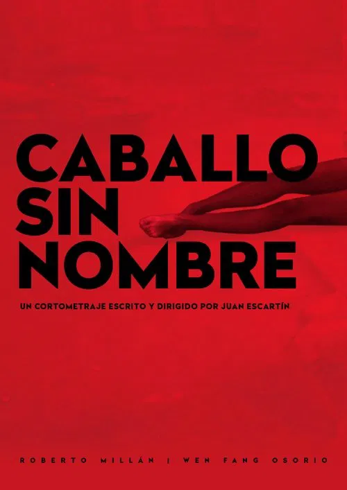 Caballo sin Nombre movie poster