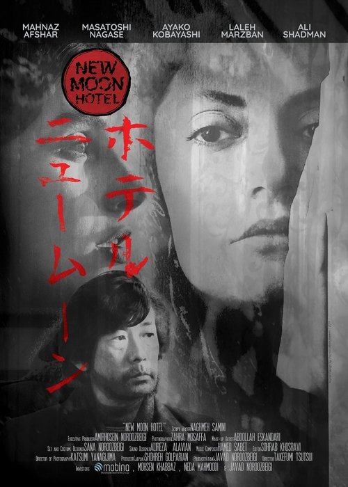 Poster do filme Hotel New Moon
