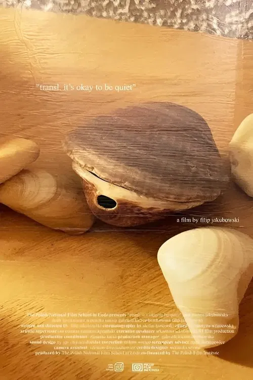 transl.  it’s okay to be quiet movie poster