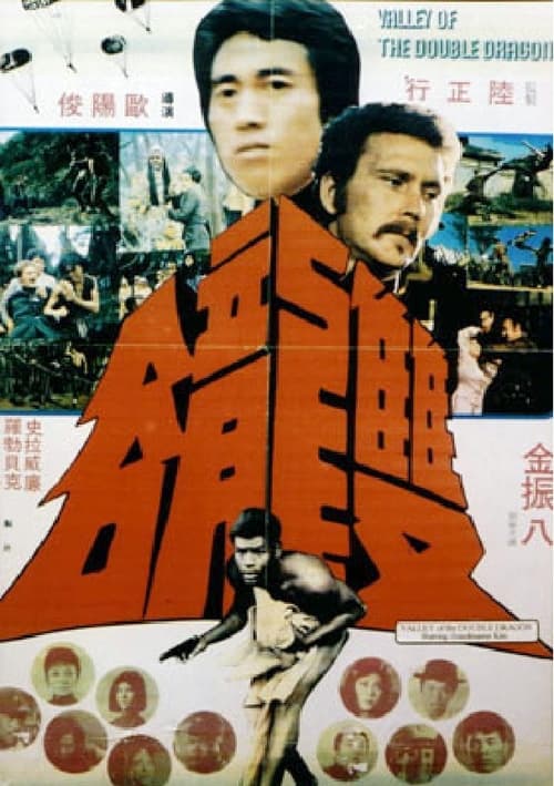 Valley of the Double Dragon movie poster