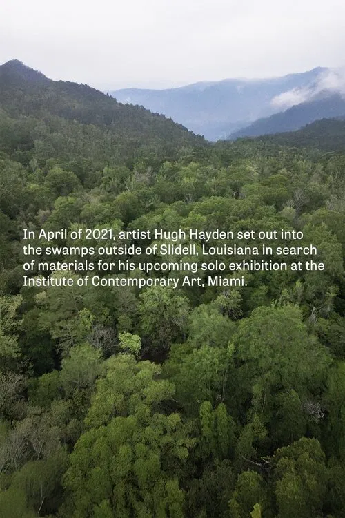 Hugh Hayden: Skeletons in the Swamp movie poster