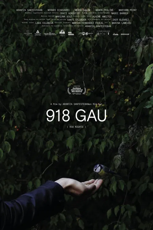 918 Nights movie poster