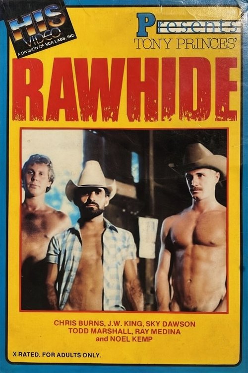 Rawhide movie poster
