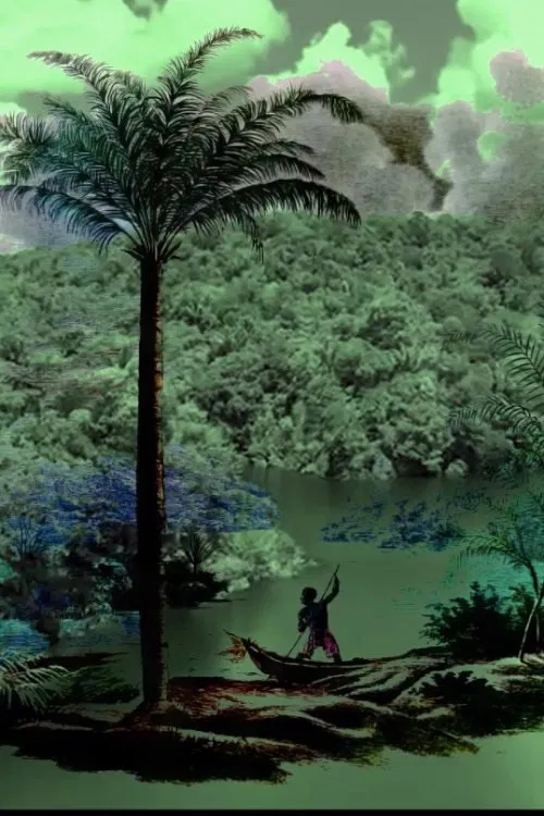 A conquista da floresta movie poster