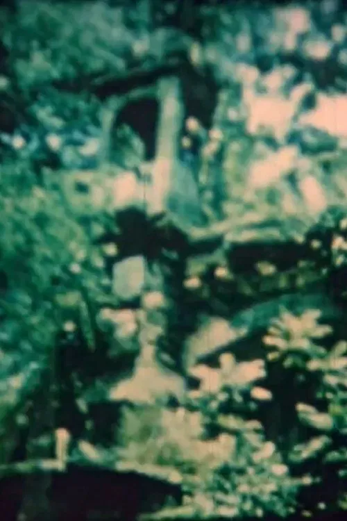 Melodic Inversion movie poster