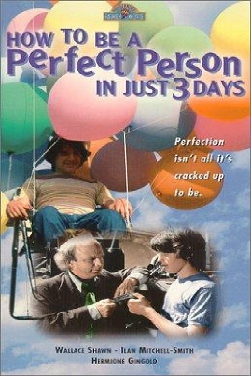 How to Be a Perfect Person in Just Three Days movie poster