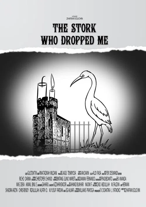 Poster do filme The Stork Who Dropped Me