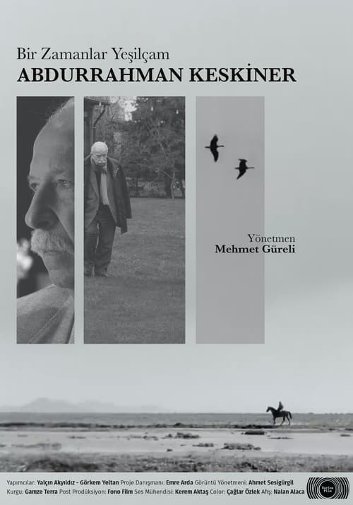 Once Upon a Time Yeşilçam: Abdurrahman Keskiner movie poster