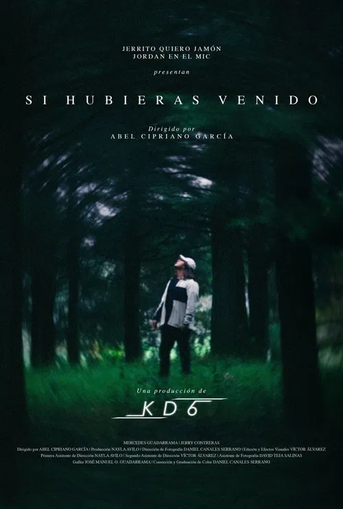 Si hubieras venido movie poster