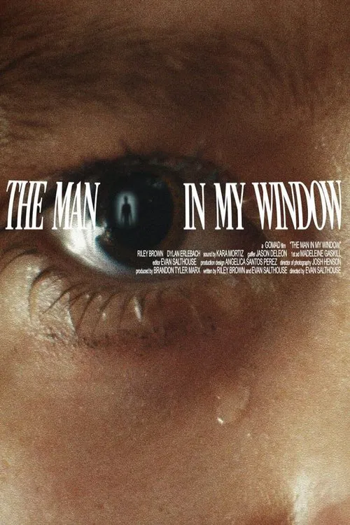 Poster do filme The Man In My Window