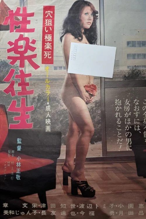 Sexual Pleasure movie poster