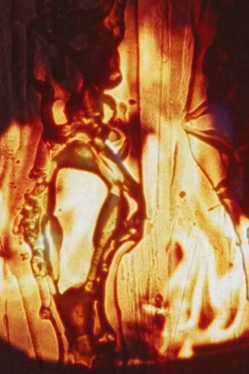 Friendly Fire movie poster