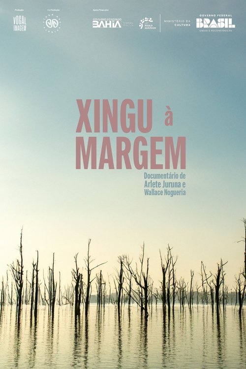 Xingu à margem movie poster