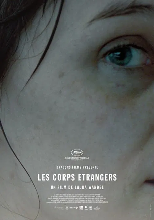 Foreign Bodies movie poster