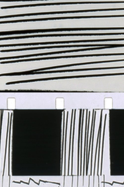 Process of Elimination movie poster