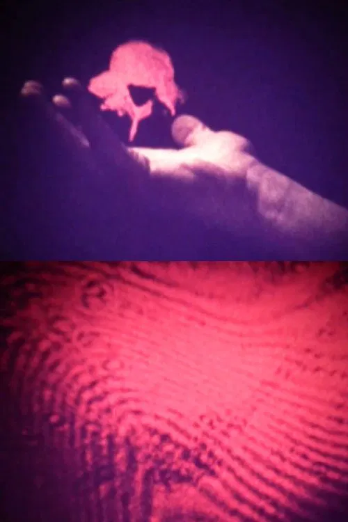 Visual Alchemy movie poster
