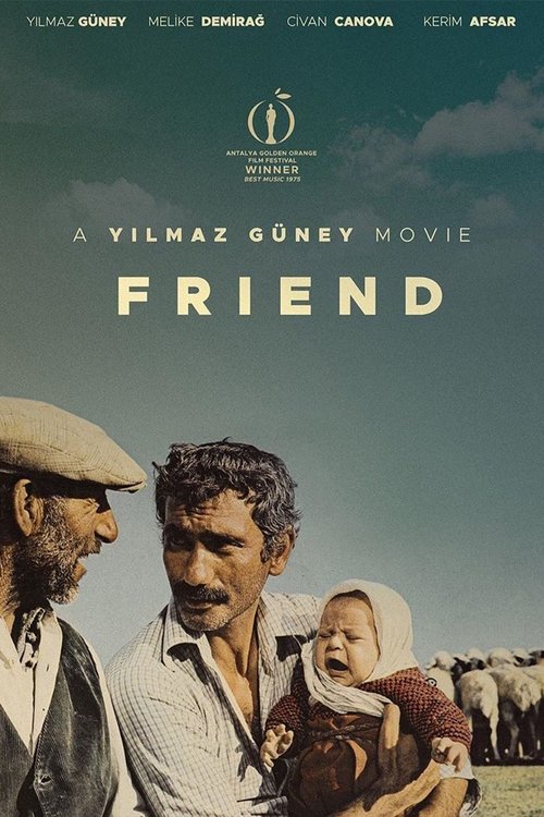 Friend movie poster