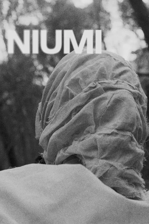 Poster do filme Niumi
