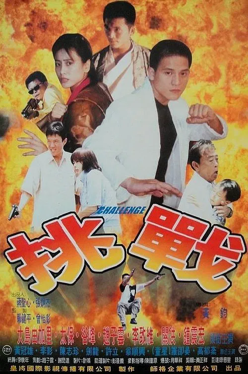 Challenge movie poster