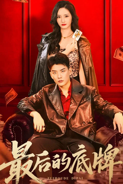 最后的底牌 tv show poster