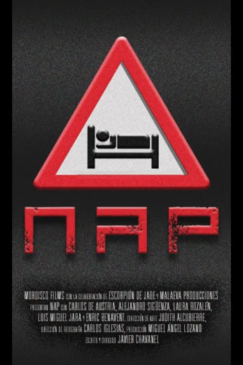 NAP movie poster