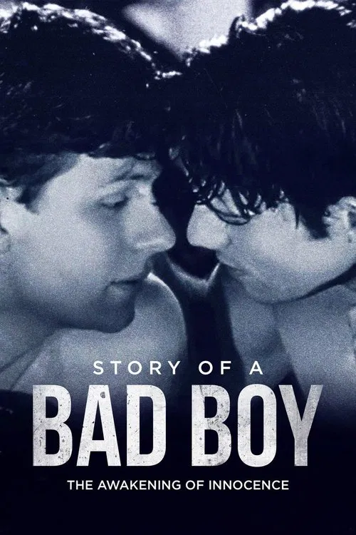 Story of a Bad Boy movie poster