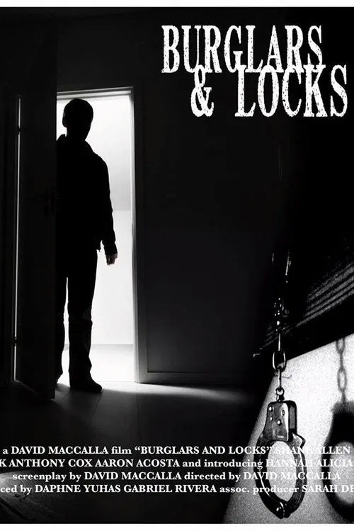 Burglars & Locks movie poster