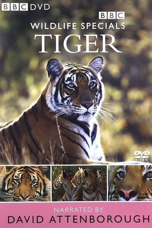 Tiger: The Elusive Princess movie poster