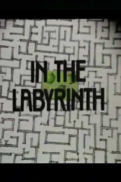 In the Labyrinth movie poster