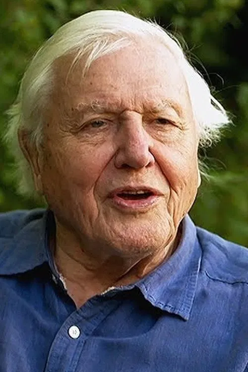 Christopher Nupen profile picture