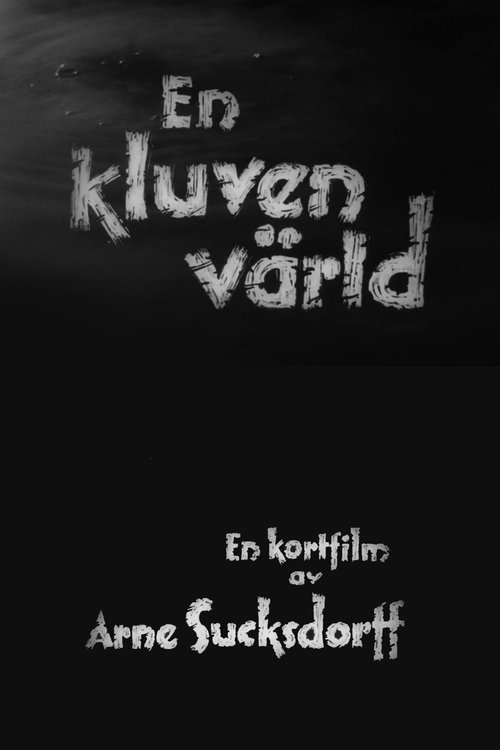 A Divided World movie poster