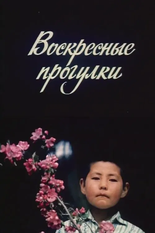 Sunday Walks movie poster