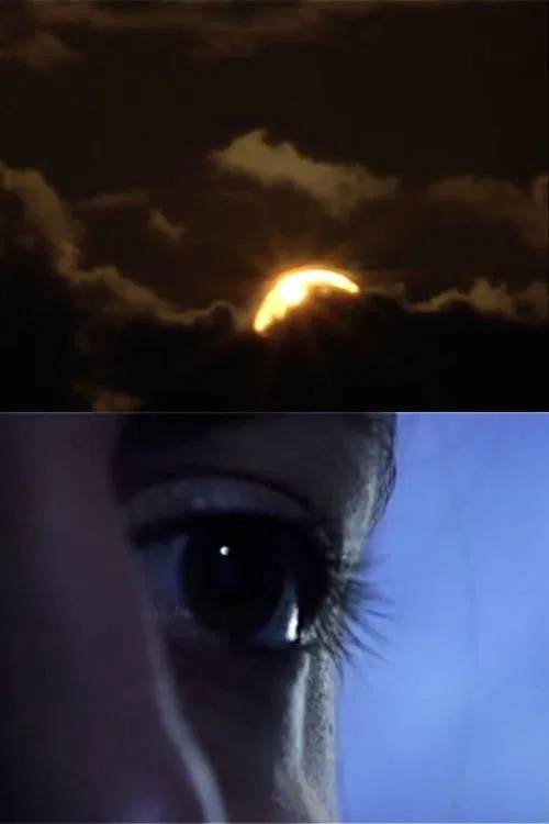 Le saut movie poster