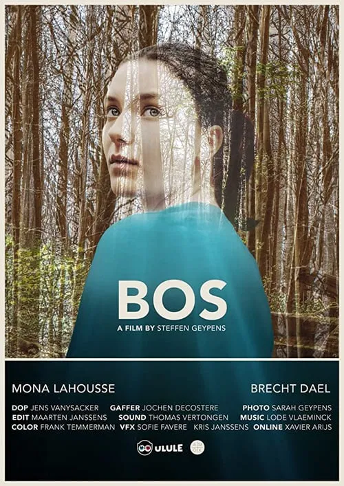Bos movie poster
