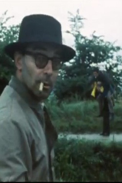 Young Cinema: Godard and His Emulators movie poster