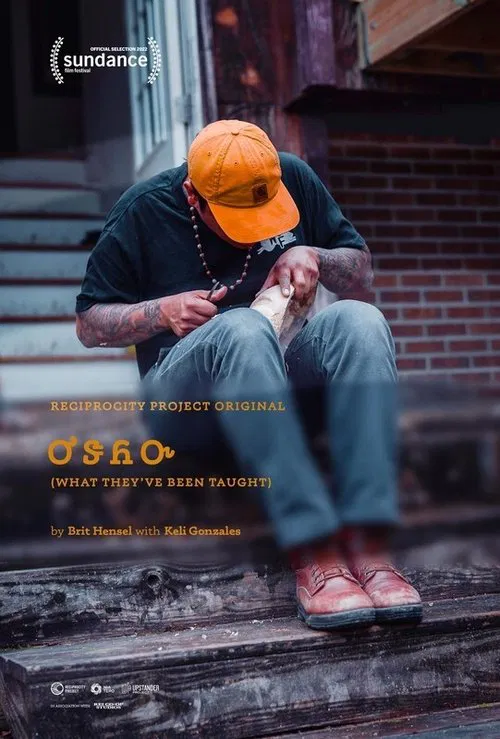 Poster do filme What They’ve Been Taught