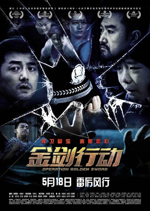 Poster do filme 金剑行动