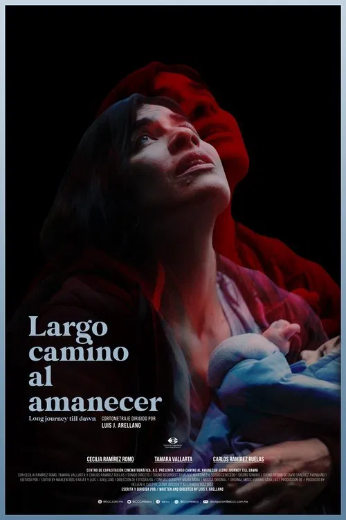 Largo camino al amanecer movie poster