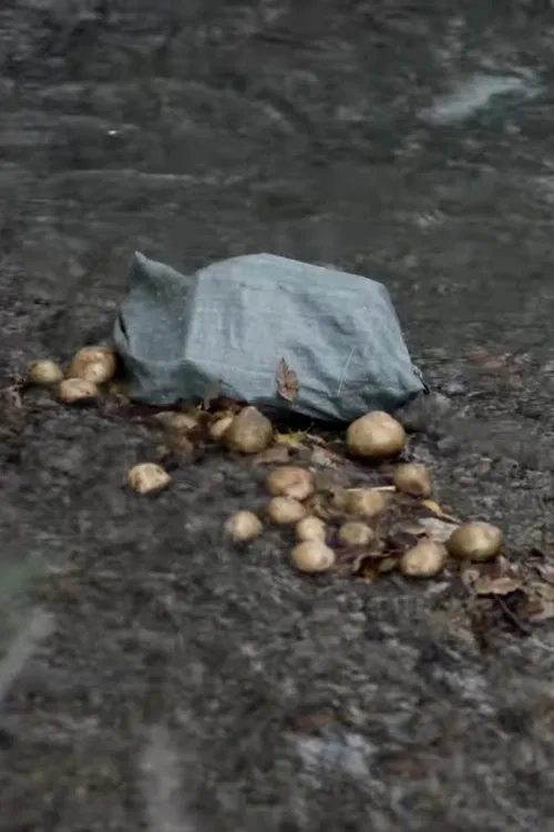 Poster do filme The Potato Eaters