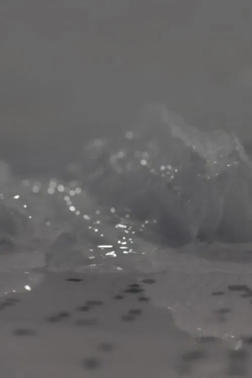 Stella 50.4N1.5E movie poster