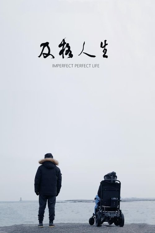 Imperfect Perfect Life movie poster