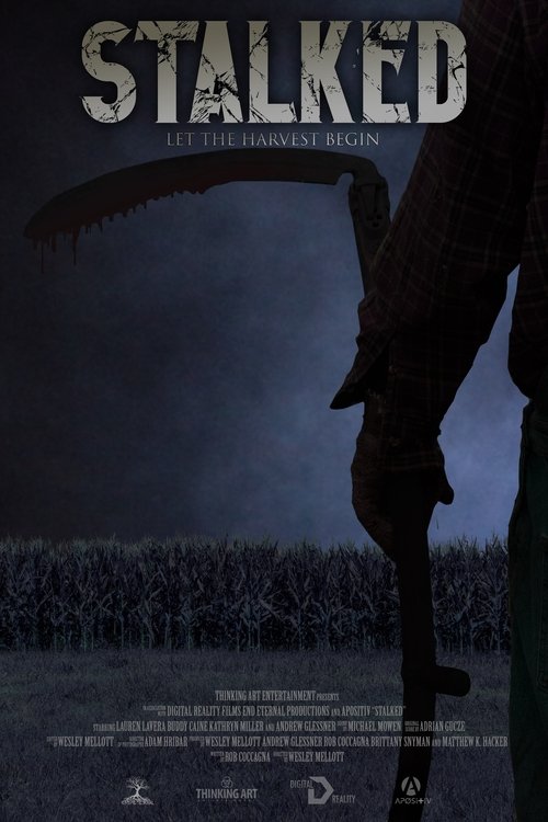 Stalked movie poster
