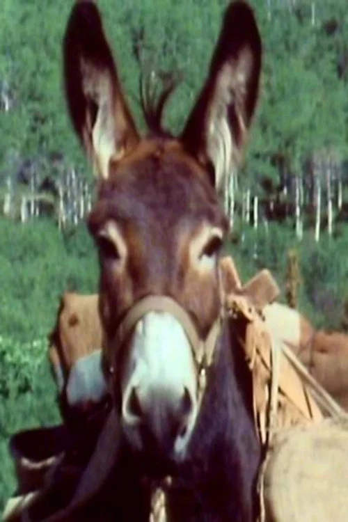 Number Seven profile picture