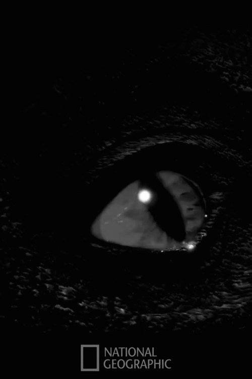 Prehistoric Monsters Revealed movie poster