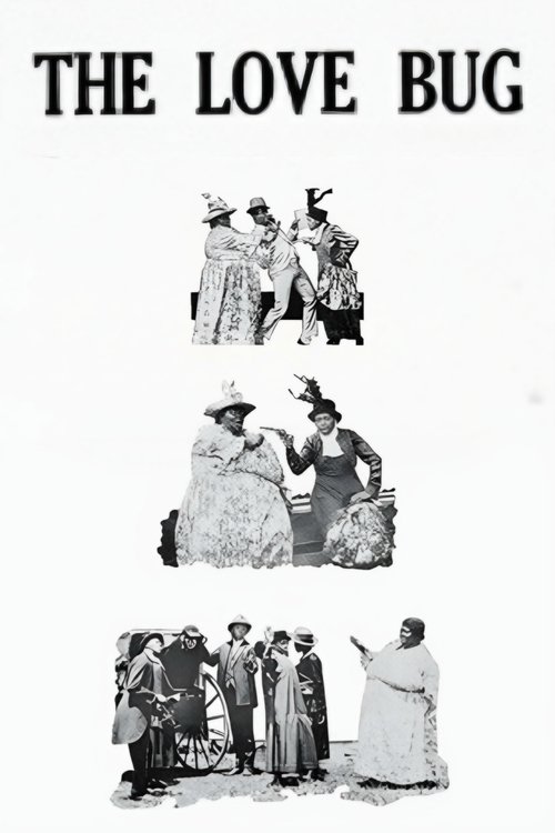 The Love Bug movie poster